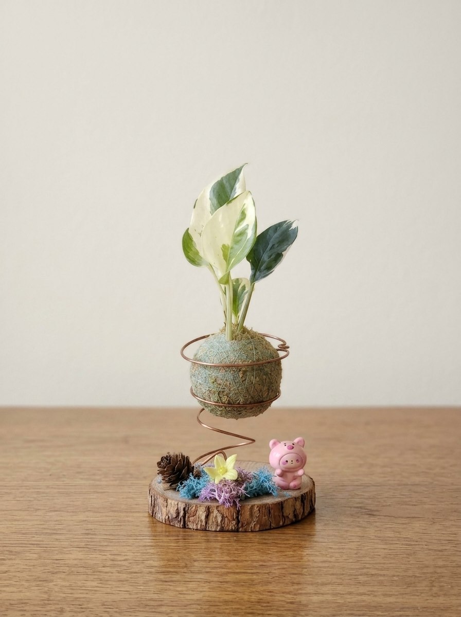 水苔球