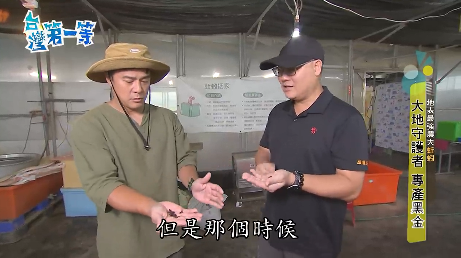 Earthworm Farm - TV Program Interview 1