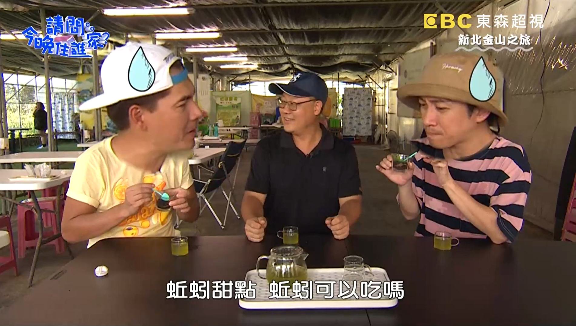Earthworm Farm - TV Program Interview 3